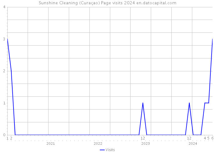 Sunshine Cleaning (Curaçao) Page visits 2024 