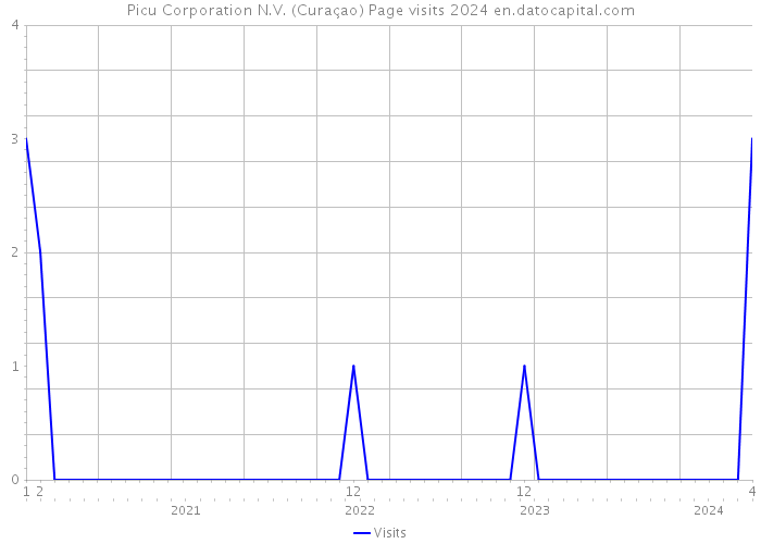Picu Corporation N.V. (Curaçao) Page visits 2024 