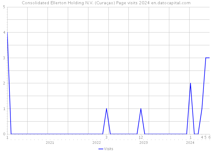 Consolidated Ellerton Holding N.V. (Curaçao) Page visits 2024 