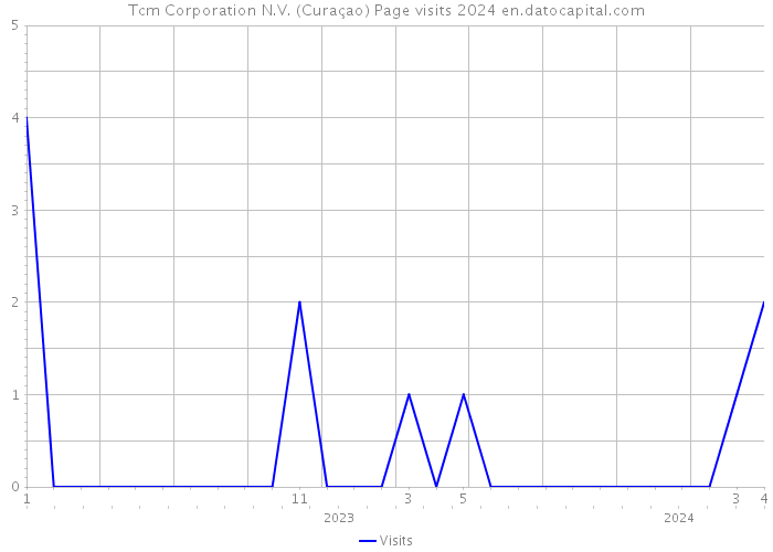 Tcm Corporation N.V. (Curaçao) Page visits 2024 