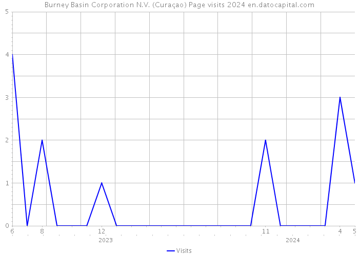 Burney Basin Corporation N.V. (Curaçao) Page visits 2024 
