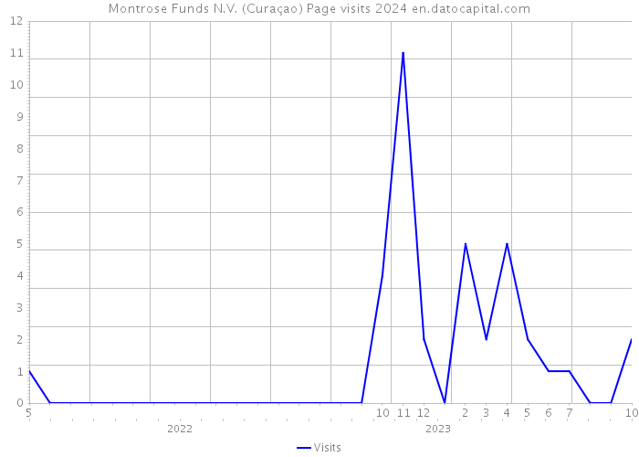 Montrose Funds N.V. (Curaçao) Page visits 2024 