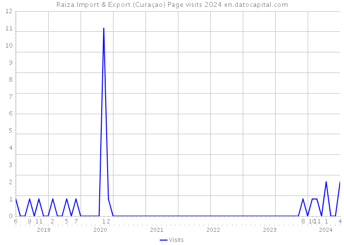 Raiza Import & Export (Curaçao) Page visits 2024 