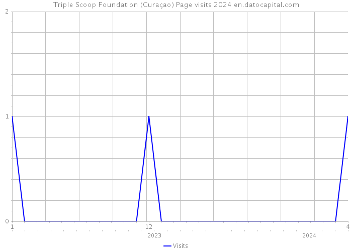 Triple Scoop Foundation (Curaçao) Page visits 2024 