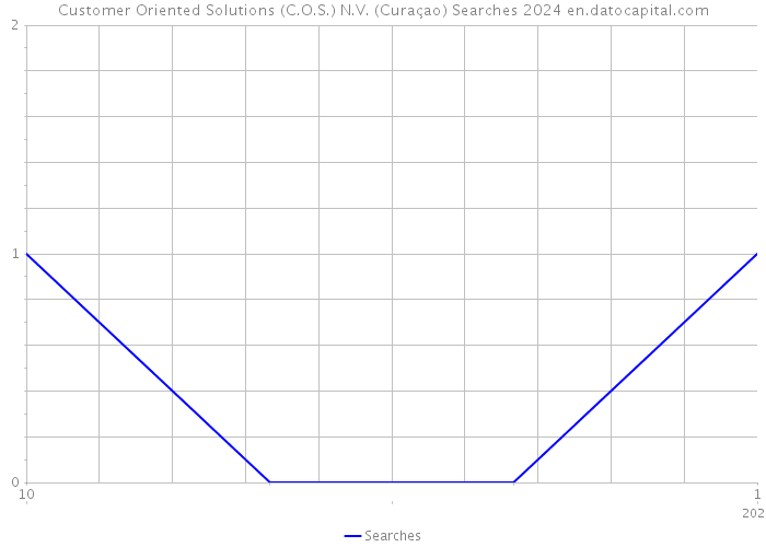 Customer Oriented Solutions (C.O.S.) N.V. (Curaçao) Searches 2024 