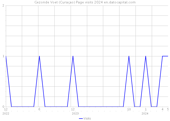 Gezonde Voet (Curaçao) Page visits 2024 