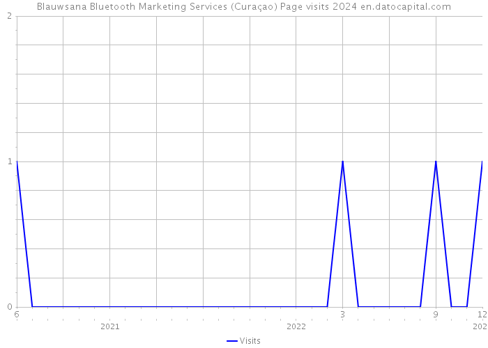Blauwsana Bluetooth Marketing Services (Curaçao) Page visits 2024 
