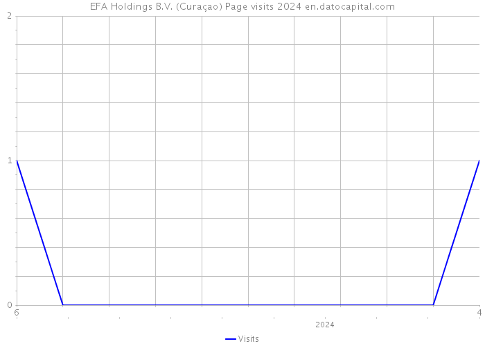 EFA Holdings B.V. (Curaçao) Page visits 2024 