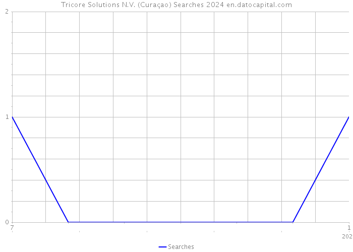 Tricore Solutions N.V. (Curaçao) Searches 2024 