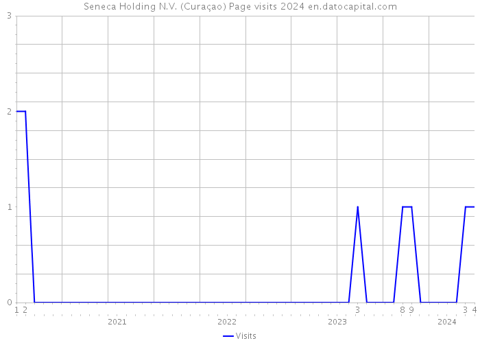 Seneca Holding N.V. (Curaçao) Page visits 2024 