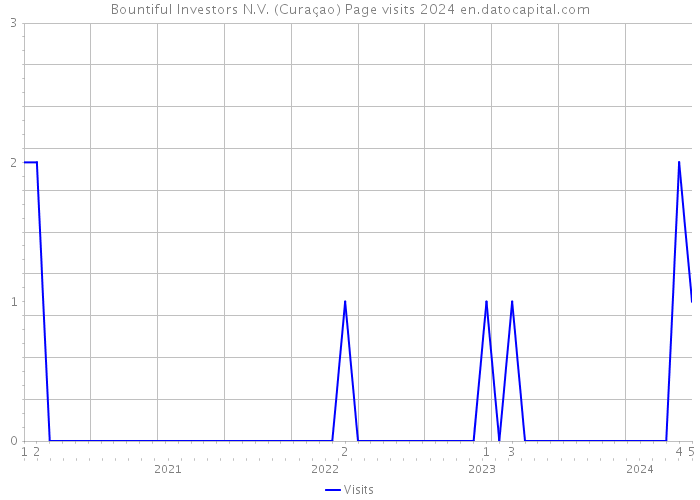 Bountiful Investors N.V. (Curaçao) Page visits 2024 