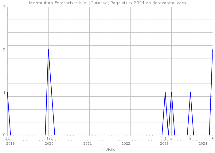 Montauban Enterprises N.V. (Curaçao) Page visits 2024 