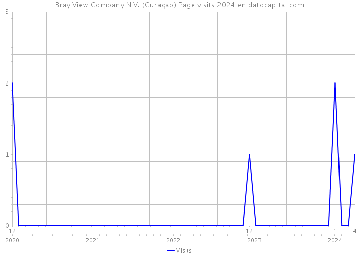 Bray View Company N.V. (Curaçao) Page visits 2024 