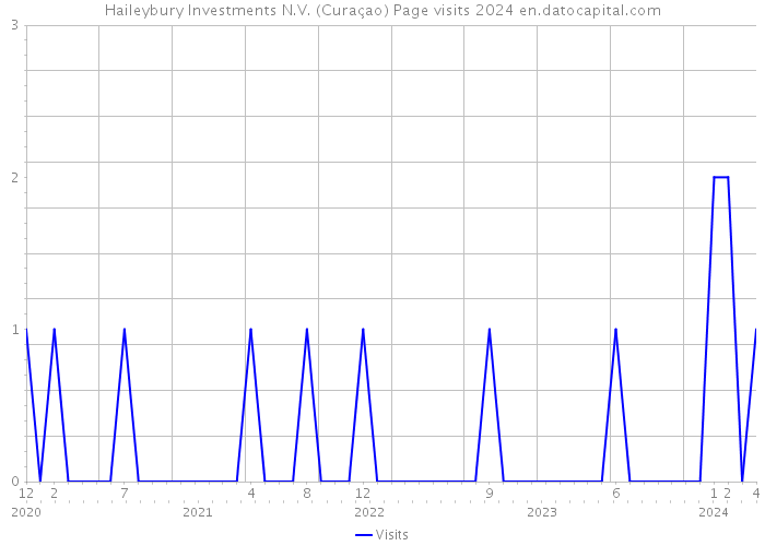 Haileybury Investments N.V. (Curaçao) Page visits 2024 