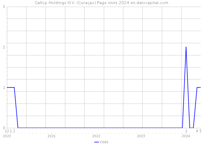 Gallop Holdings N.V. (Curaçao) Page visits 2024 