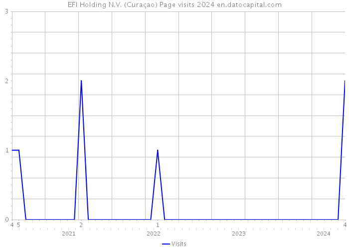 EFI Holding N.V. (Curaçao) Page visits 2024 