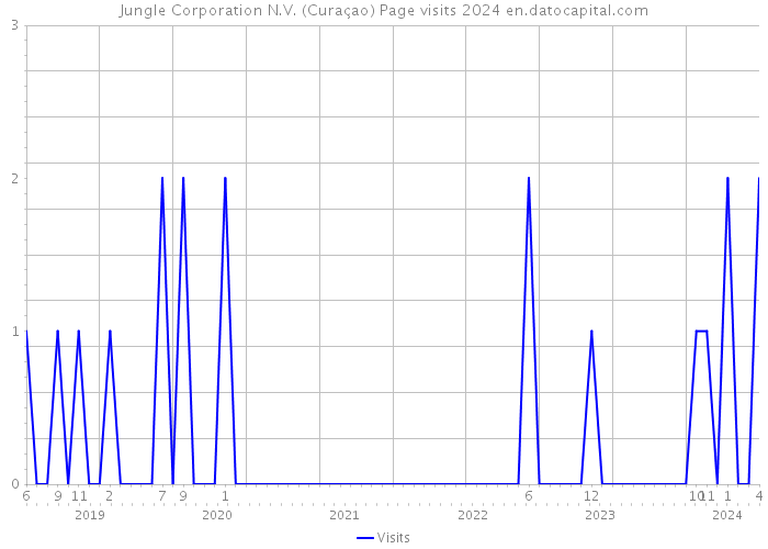 Jungle Corporation N.V. (Curaçao) Page visits 2024 