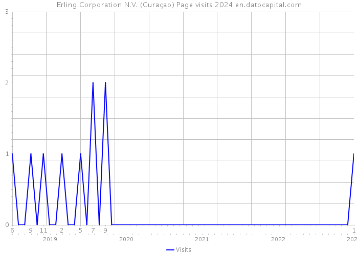 Erling Corporation N.V. (Curaçao) Page visits 2024 