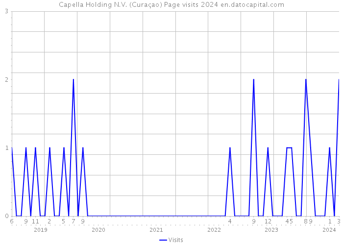 Capella Holding N.V. (Curaçao) Page visits 2024 