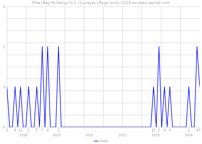 Pine-Bay Holdings N.V. (Curaçao) Page visits 2024 