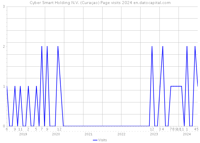 Cyber Smart Holding N.V. (Curaçao) Page visits 2024 