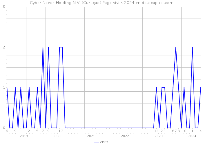 Cyber Needs Holding N.V. (Curaçao) Page visits 2024 