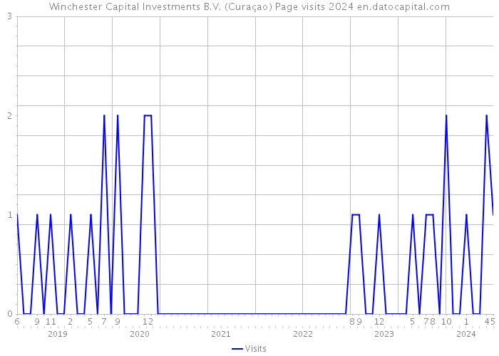 Winchester Capital Investments B.V. (Curaçao) Page visits 2024 