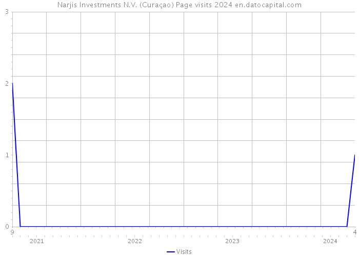 Narjis Investments N.V. (Curaçao) Page visits 2024 
