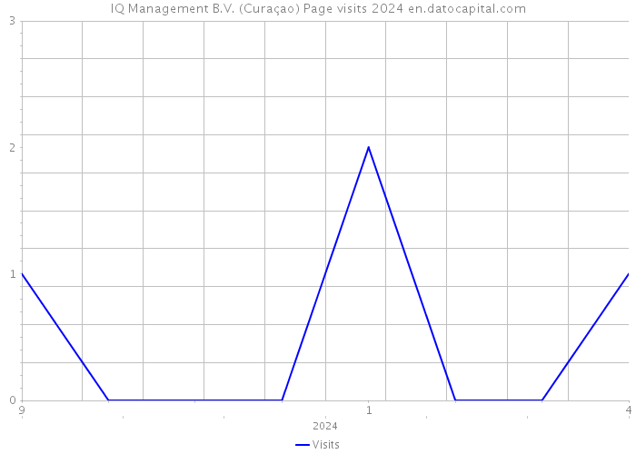 IQ Management B.V. (Curaçao) Page visits 2024 