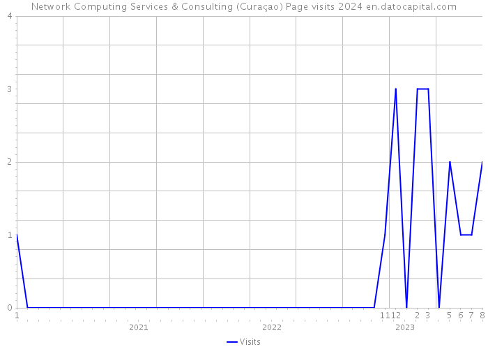 Network Computing Services & Consulting (Curaçao) Page visits 2024 