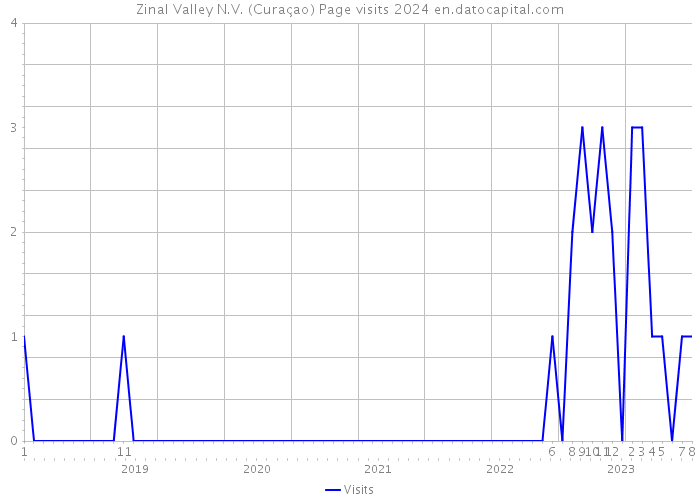 Zinal Valley N.V. (Curaçao) Page visits 2024 