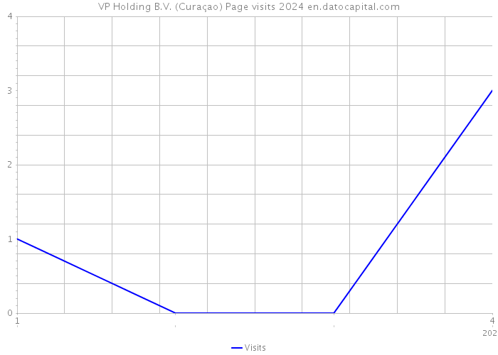 VP Holding B.V. (Curaçao) Page visits 2024 