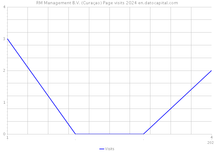 RM Management B.V. (Curaçao) Page visits 2024 