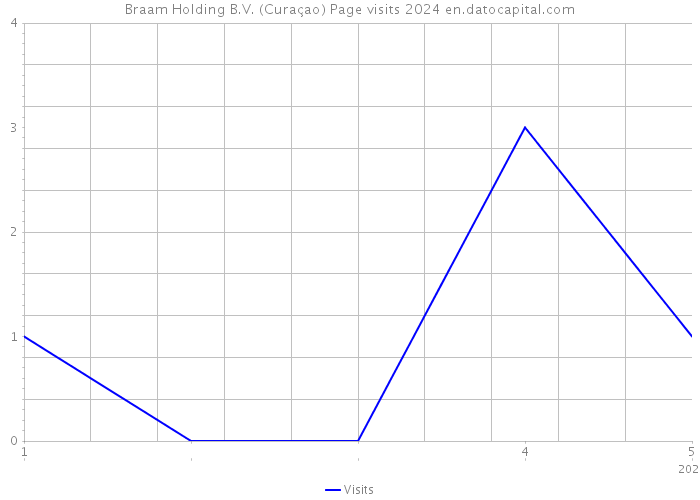 Braam Holding B.V. (Curaçao) Page visits 2024 