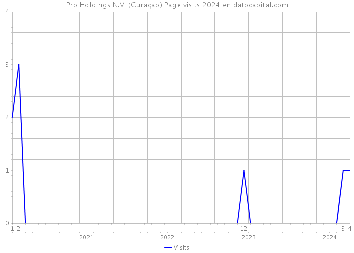 Pro Holdings N.V. (Curaçao) Page visits 2024 