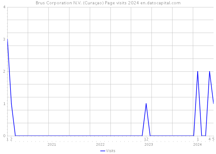 Brus Corporation N.V. (Curaçao) Page visits 2024 