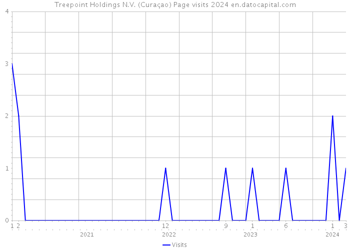 Treepoint Holdings N.V. (Curaçao) Page visits 2024 