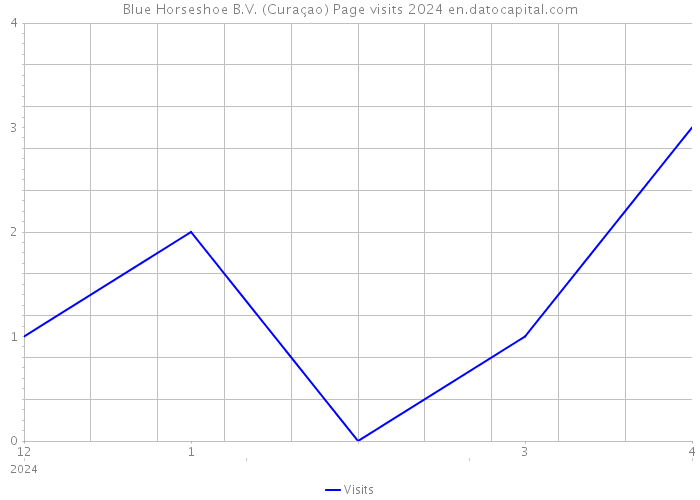 Blue Horseshoe B.V. (Curaçao) Page visits 2024 
