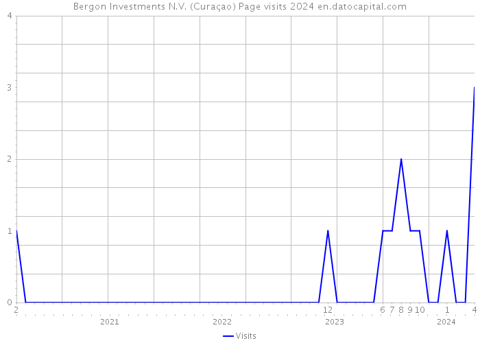 Bergon Investments N.V. (Curaçao) Page visits 2024 