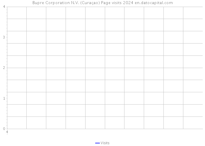 Bupre Corporation N.V. (Curaçao) Page visits 2024 