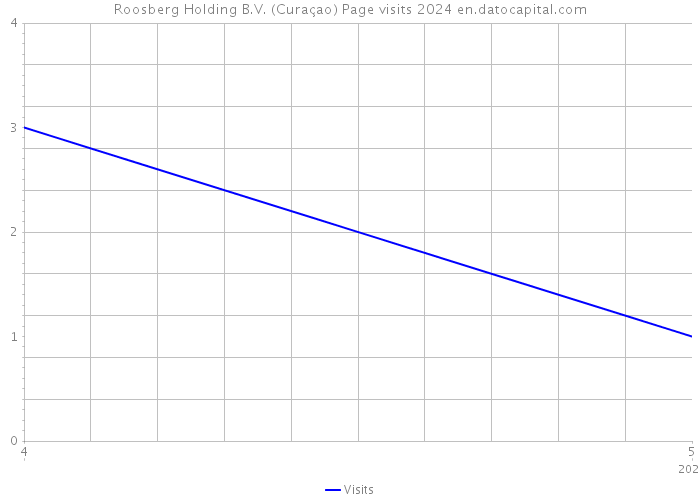 Roosberg Holding B.V. (Curaçao) Page visits 2024 