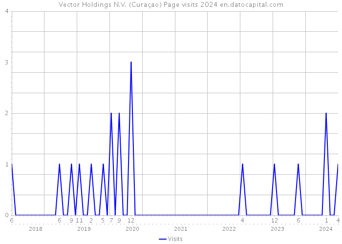 Vector Holdings N.V. (Curaçao) Page visits 2024 