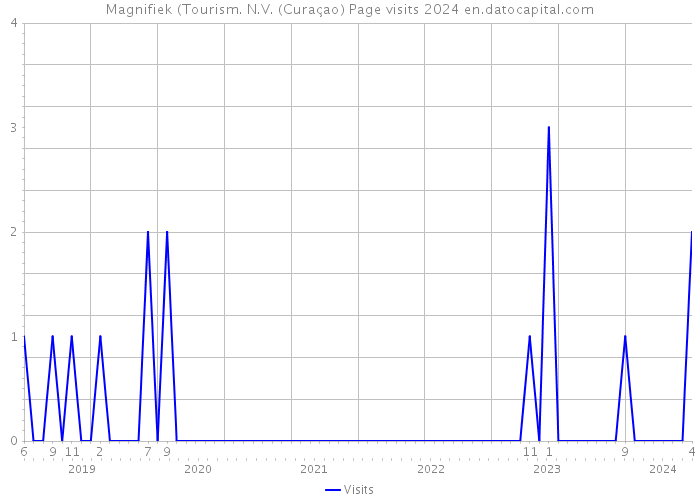 Magnifiek (Tourism. N.V. (Curaçao) Page visits 2024 