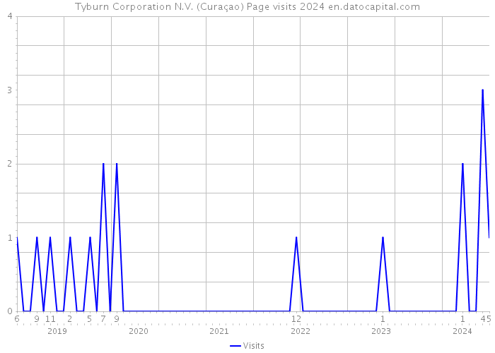 Tyburn Corporation N.V. (Curaçao) Page visits 2024 