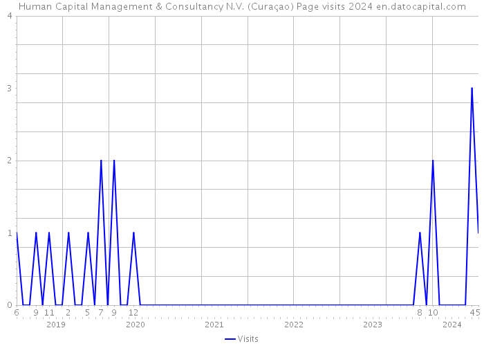 Human Capital Management & Consultancy N.V. (Curaçao) Page visits 2024 