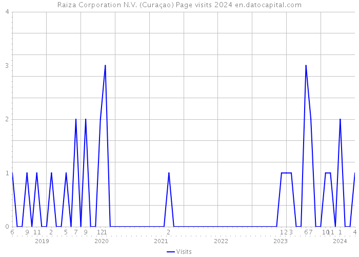 Raiza Corporation N.V. (Curaçao) Page visits 2024 