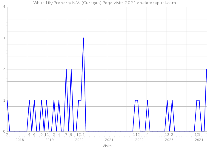 White Lily Property N.V. (Curaçao) Page visits 2024 