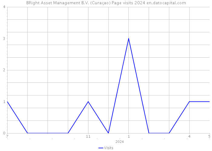 BRight Asset Management B.V. (Curaçao) Page visits 2024 