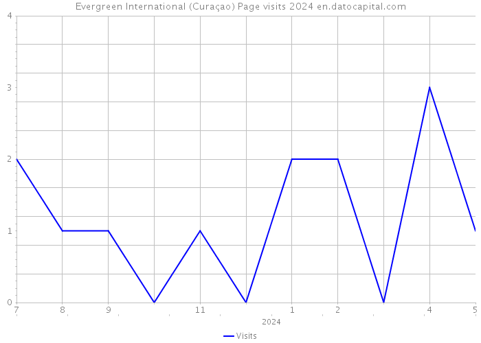 Evergreen International (Curaçao) Page visits 2024 