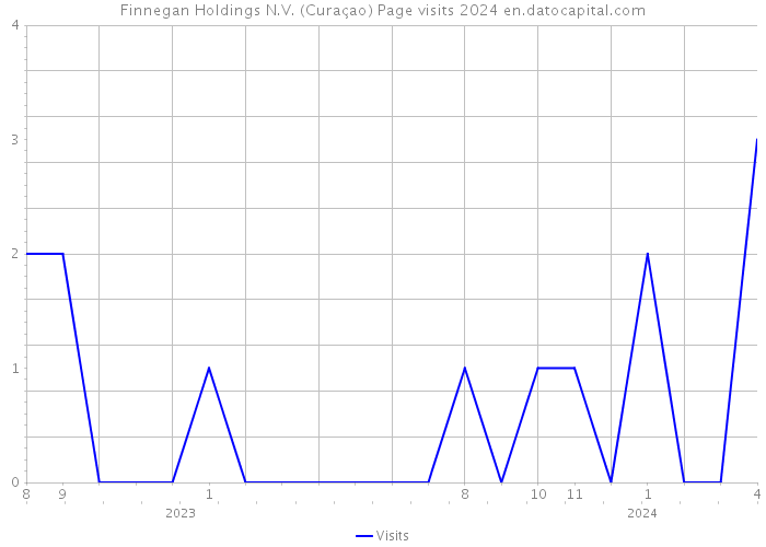 Finnegan Holdings N.V. (Curaçao) Page visits 2024 